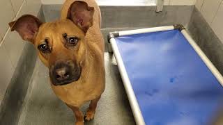 acs A665169