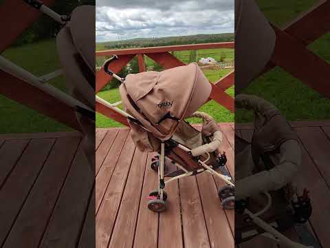 Прогулочная коляска Goodbaby D208R