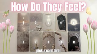 Pick a card💕How Do They Feel? Any Person! Their Thoughts & Feelings (Timeless Love Tarot Reading)