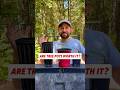 Grow trees from seeds with these #shorts #fruittree #growyourownfood #containergardening #grow 