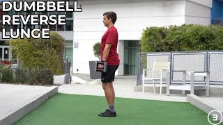 Dumbbell Reverse Lunge