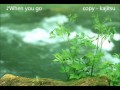 岩瀬敬吾 『When you go』 cover - kajitsu