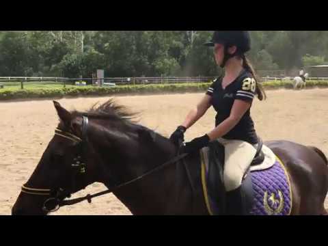 Riding Edit!!// Chloe Equestrian - YouTube