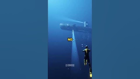 Como MORREU o último MEGALODON? 🦈💀 #megalodon #megalodón