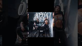 Celebrity Marin X Tayna - Alpha Omega Wealth