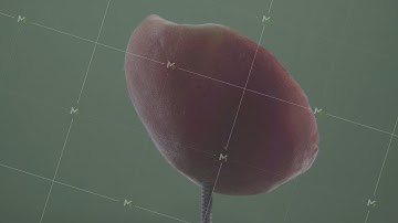 Peach rotating with loop on green screen for chroma key