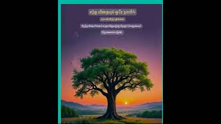 #life #tree #growth #mindset #upsc #cr7 #love #viral#facts #motivation#money#monk#ipl#suktulu l#news