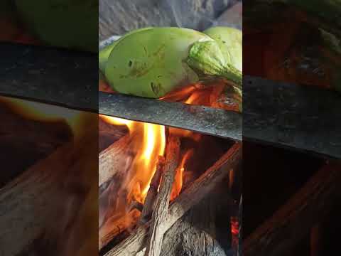 Baingan ka Bharta