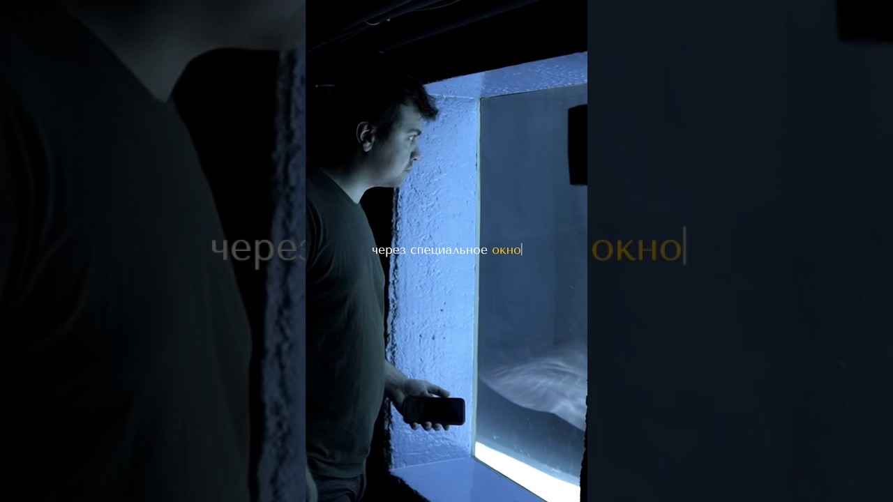 Смотри клип на песню «Улетали» на YouTube 🎬 