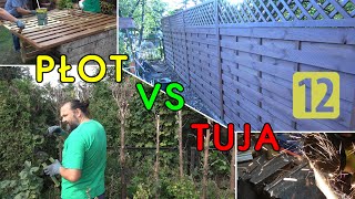 Płot Drewniany Lamelowy, Zamiast Żywopłotu Z Tuji.