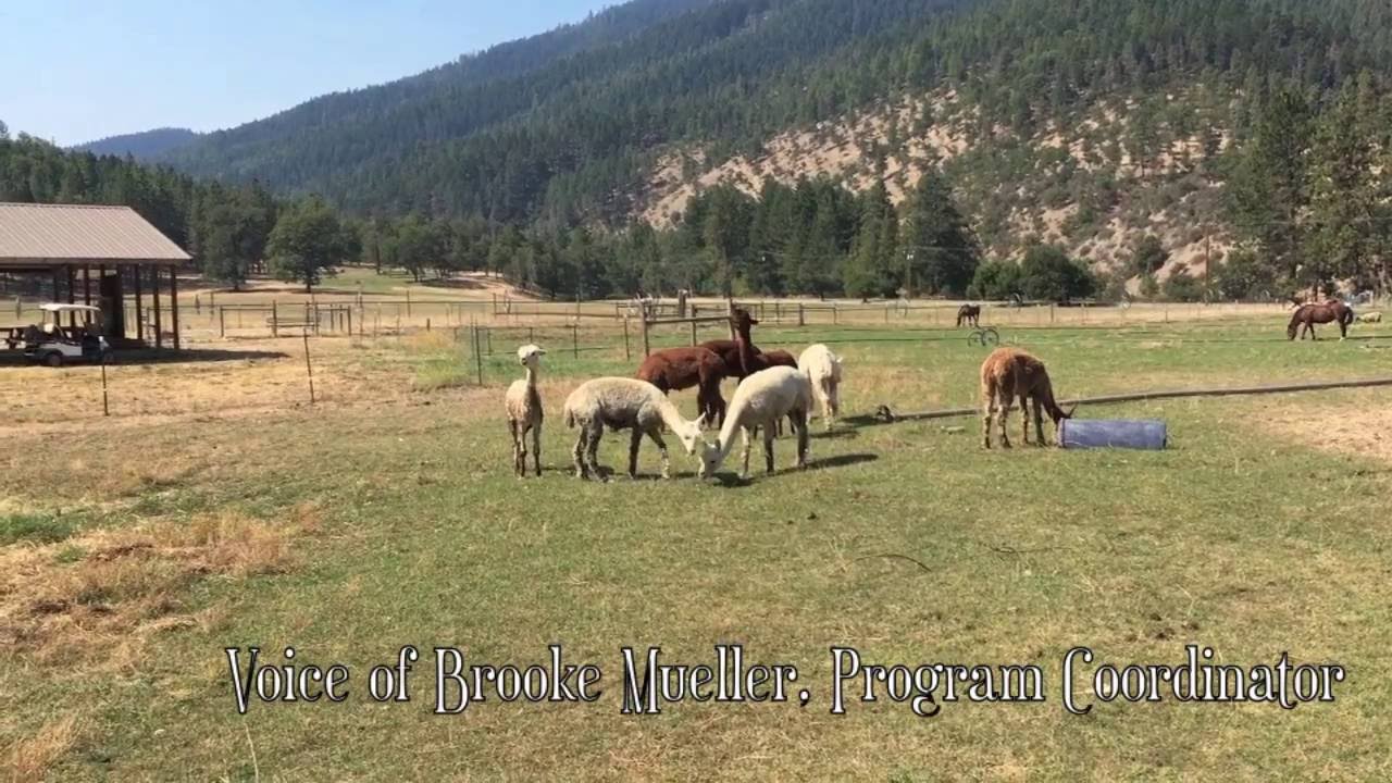 Sanctuary One at Double Oak Farm YouTube