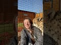 Поцелуй гепарда🥰. Kiss from a cheetah🥰