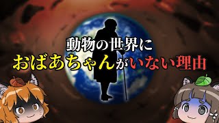 【疑問】動物の世界に「おばあちゃん」が存在しない理由 by へんないきものチャンネル 131,899 views 2 weeks ago 18 minutes