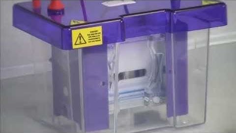 Cleaver Scientific Mini Vertical Gel Box