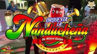 Orquesta La Nanducheña --- Popurrí Merequetengues En Vivo 2024
