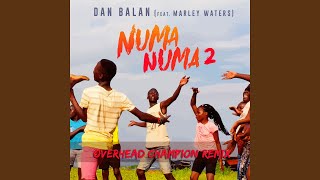 Смотреть клип Numa Numa 2 (Overhead Champion Remix)