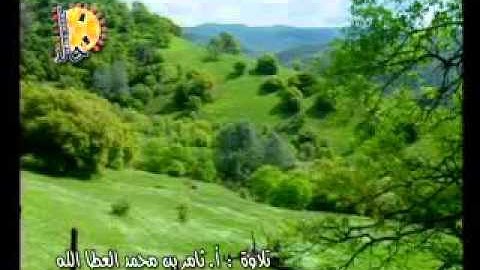 تلاوة ثامر بن محمد العطاالله