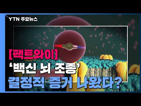 [팩트와이] &rsquo;백신 뇌 조종&rsquo; 결정적 증거 나왔다? / YTN