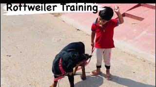 Rottweiler Training | #rottweiler Puppy | ##rottweiler training| #rottweiler play with kids|