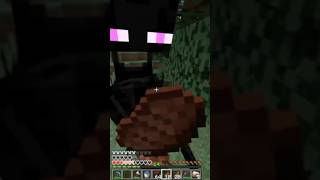 Terrible Idea                        #minecraft #funny #fyp
