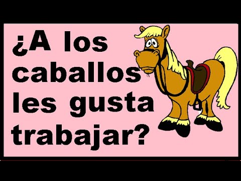 Video: ¿A los caballos les gusta que los monten?