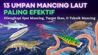 13 Umpan Mancing Laut Paling Efektif Versi Saya