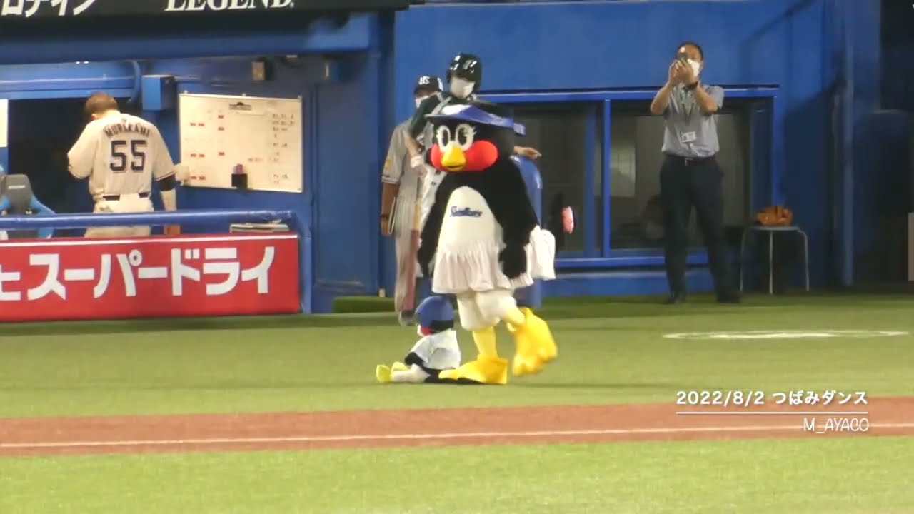 活動歴および当時の関連ビジュアル記録