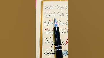سورة هود الأية 98 إلى 100 القارئ سعد الغامدي #أرح_سمعك_وقلبك