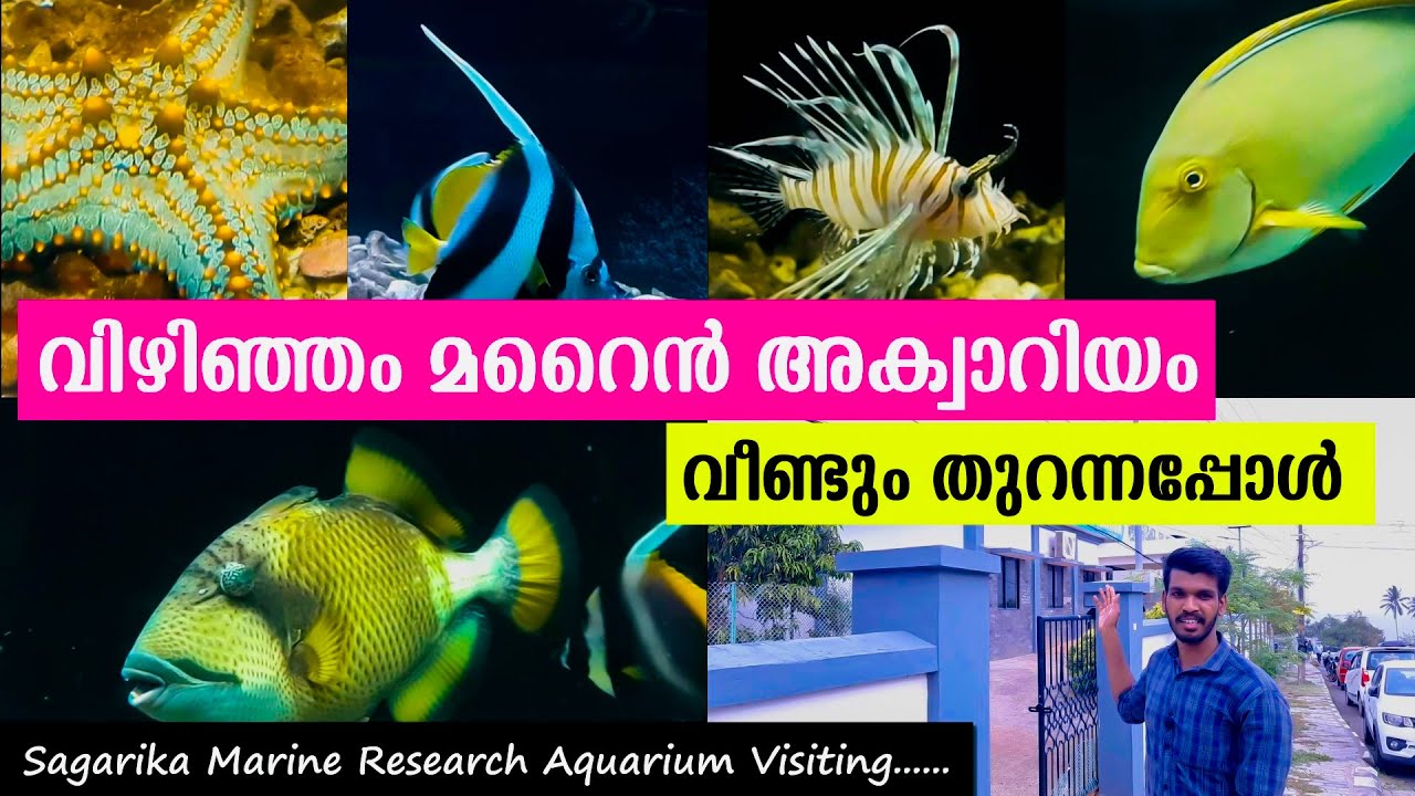 വിഴിഞ്ഞം മറൈൻ അക്വാറിയം വീണ്ടും തുറന്നപ്പോൾ  | Sagarika Marine Research Aquarium | Marine World |
