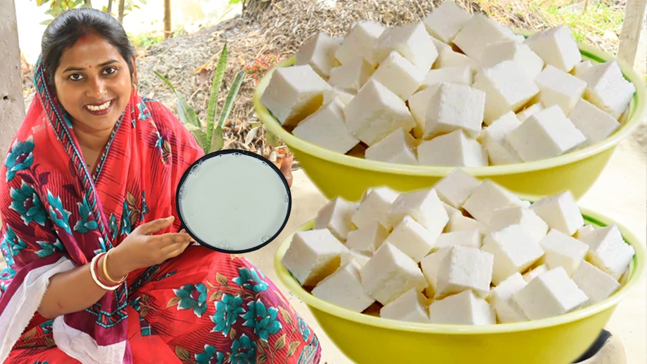 দুধ ছাড়াই পার্ফেক্ট পনির বানালাম চিনেবাদাম আর লাউ দিয়ে II PONIR MAKING WITHOUT MILK II