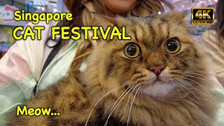 Wonderful Singapore Cat Festival 2023