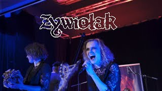 ŻYWIOŁAK - CZARODZIELNICA (LIVE)