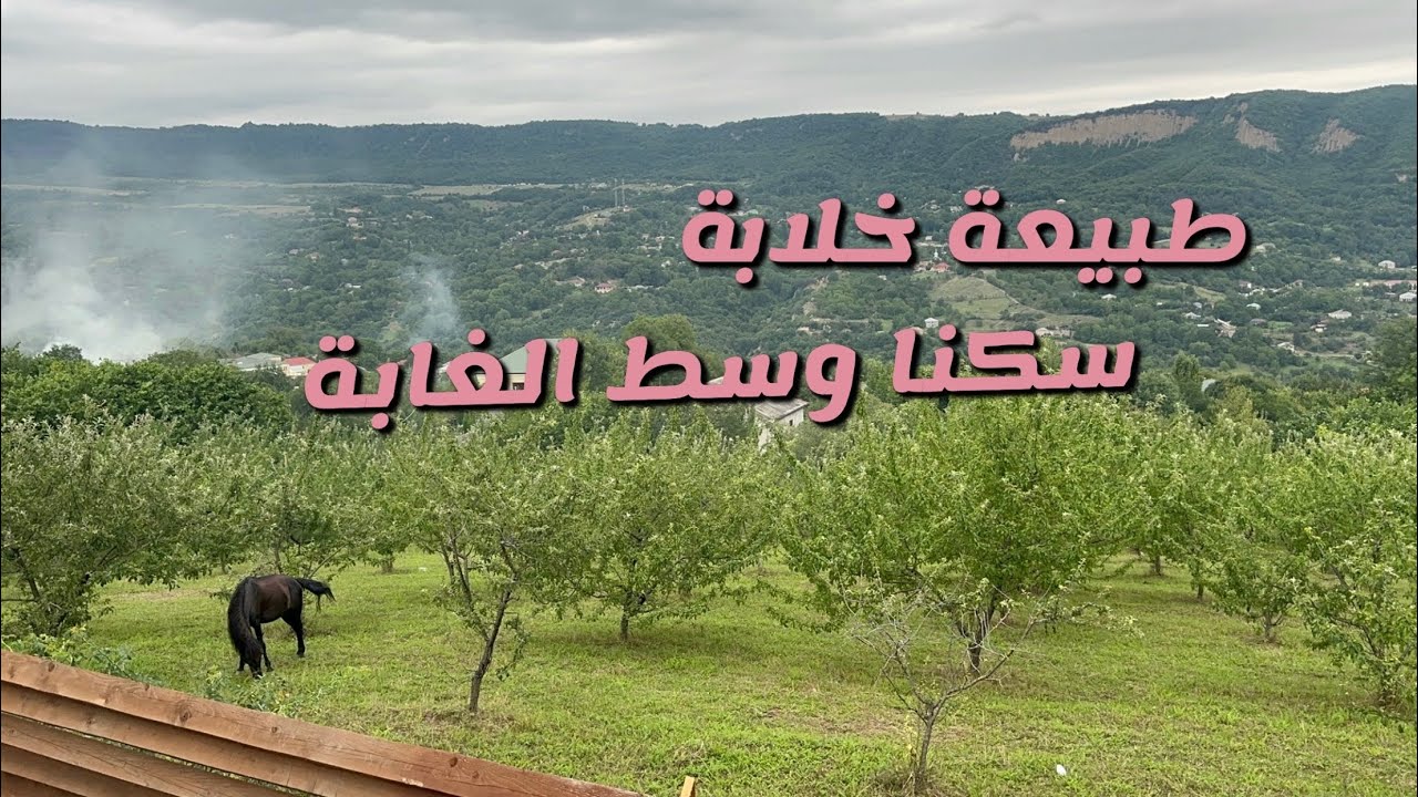 رحلتنا لمدينة قوبا / طبيعة خلابة / اكلنا فطائر الصاج بالغابة / سكنا بين الجبال و الغابة🌳🏡