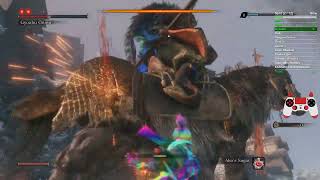 Sekiro Borracho% hitless in 27:19