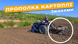 Прополка картоплі їжаками. Міжрядним культиватором ЇЖАКИ. Прополка мінітрактором