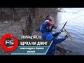 Весенняя береговая ловля щуки на джиг | FishingSib.ru