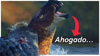 Sobreviví como el temor de todos los Dinosaurio en The Isle (Deinosuchus)