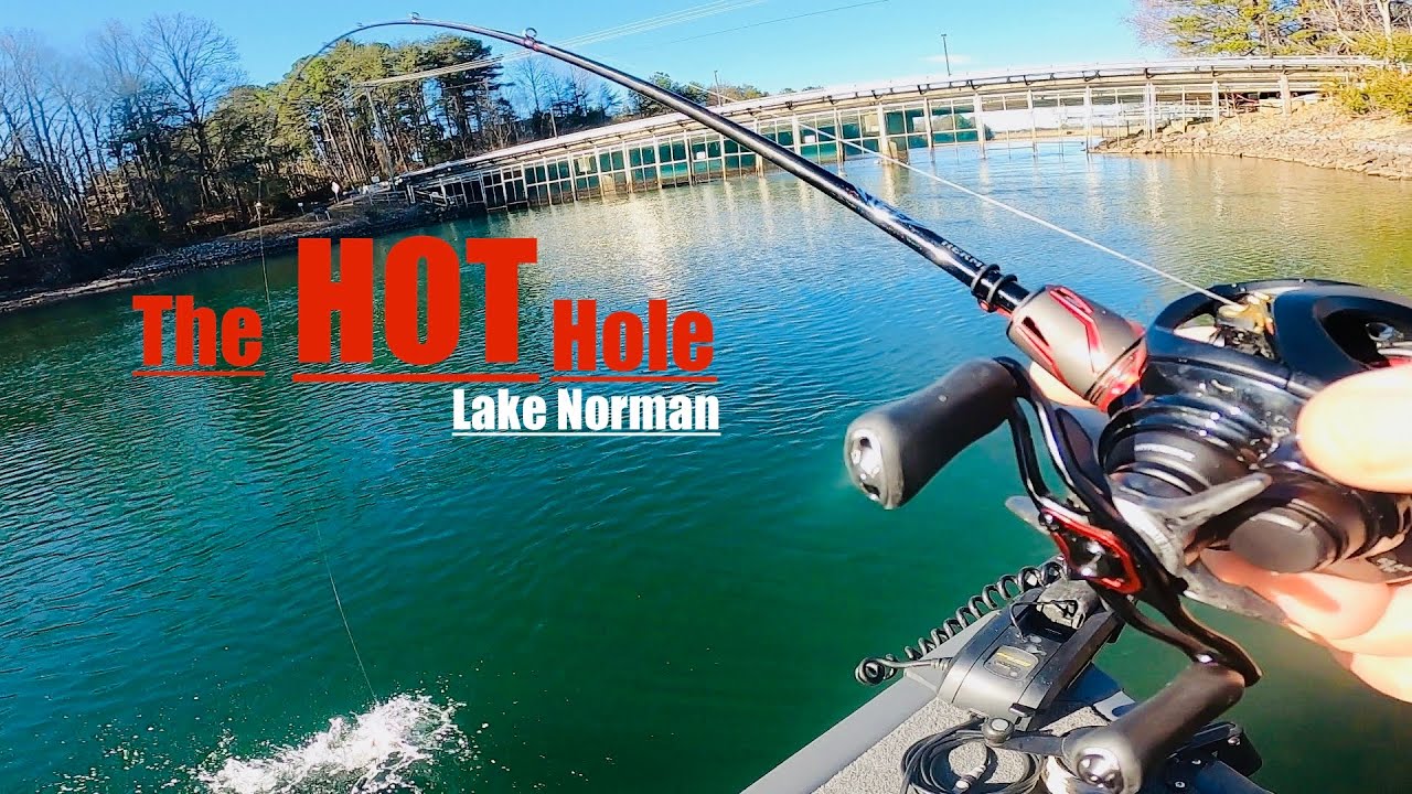 Озеро Норман | Горячее место | Рыбалка на пятнистого окуня 12.02.2026