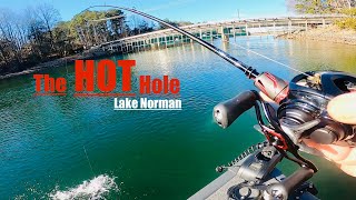 Lake Norman | HOT Hole | Spotted Bass Fishing 02/12/2026