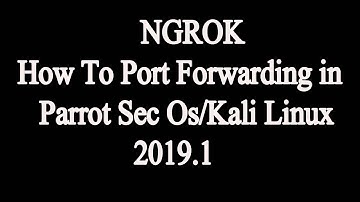 Ngrok - How To Port Forwarding in Parrot Sec Os/Kali Linux 2019.1 100% working