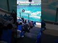 ラビーちゃんのパワフルレスキューバースト～🥰 #Shorts #鴨川シーワールド #鴨シー #kamogawaseaworld #killerwhale #シャチパフォーマンス