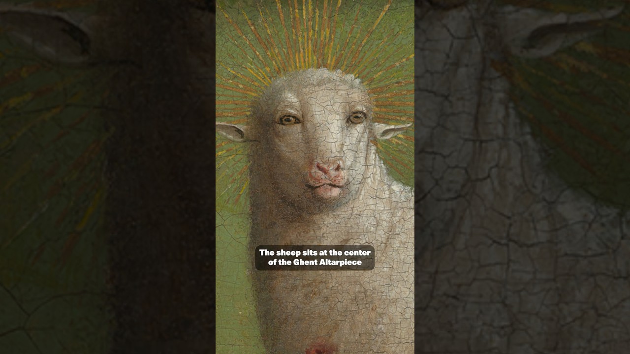 👀 Why does this sheep look so WEIRD?