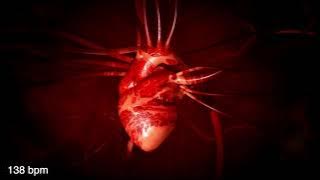 Heartbeat from 60 bpm to 210 bpm 🫀 and slowing down to 45 bpm ✨