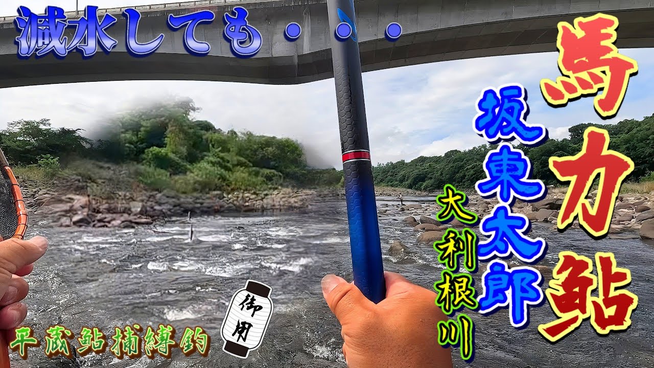 【鮎朝練】ﾀｯｸﾙ合わせて馬力鮎に挑む！「ｴｱｰMT急瀬抜90編」お馬さん前 POV bar