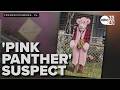 Police search for costumed stranger