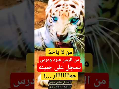 من لا ياخذ من الزمن عبره ودرس عبارات عسل براس موس عبارات  حالات تصميمي اقتباسات