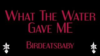 Birdeatsbaby - What The Water Gave Me - Karaoke