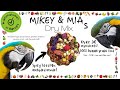 Mikey and Mia’s Dry Mix - OUT NOW!