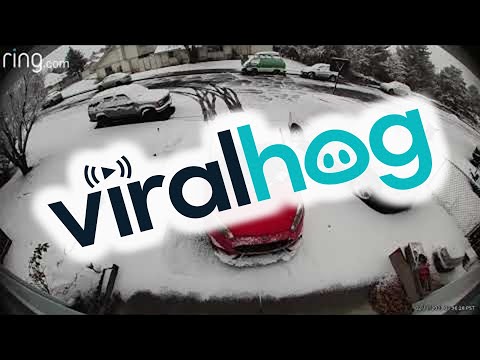 Car Slides Down Driveway || ViralHog