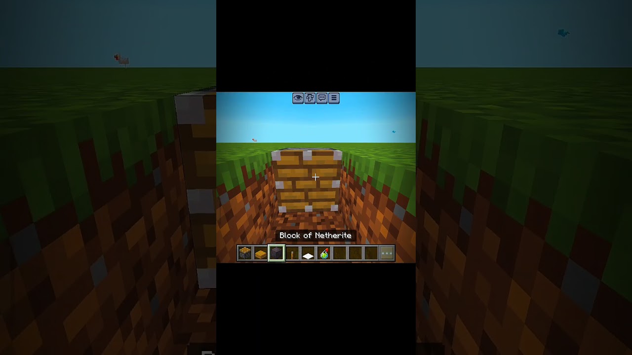 Minecraft Hidden Block